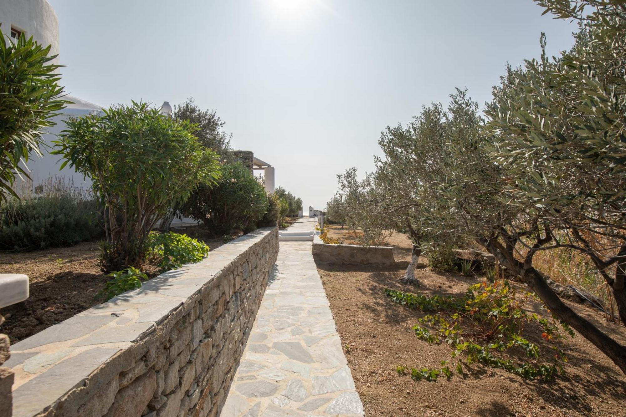 Apostolis Windmill Διαμέρισμα Ψαρού Εξωτερικό φωτογραφία